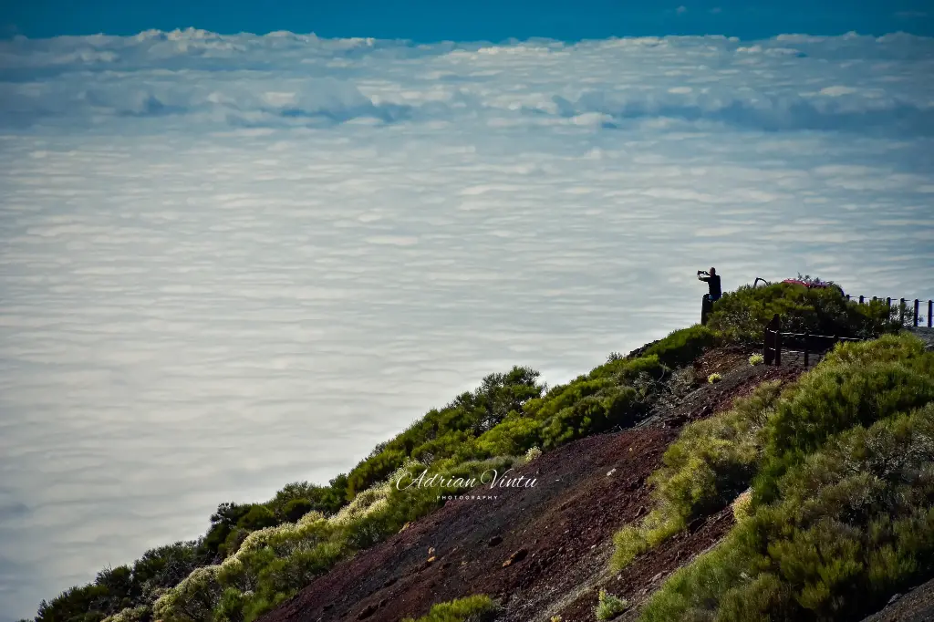 Sobre el Mar de Nubes en La Gomera